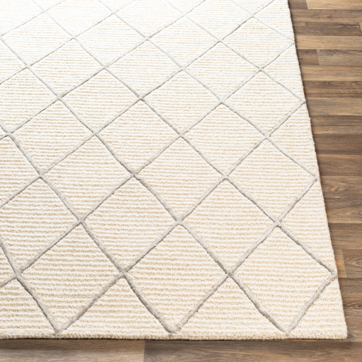 Surya Eaton EAT-2303 Ivory Area Rug - Image 3