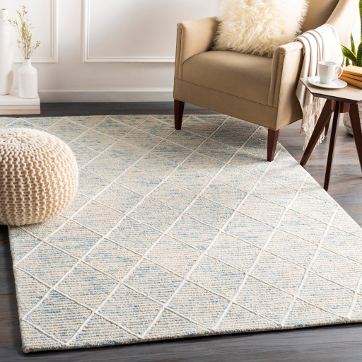 Surya Eaton EAT-2304 Denim Area Rug