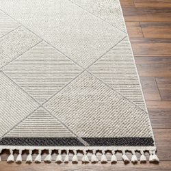 Surya Finland FND-2303 Black Area Rug