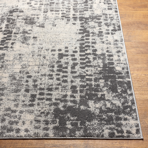 Surya Floransa FSA-2344 Charcoal Area Rug - Image 2