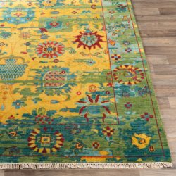 Surya Festival FVL-1005 Burnt Orange Area Rug