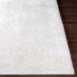 Alternative view of Surya Grizzly GRIZZLY-9 White Area Rug