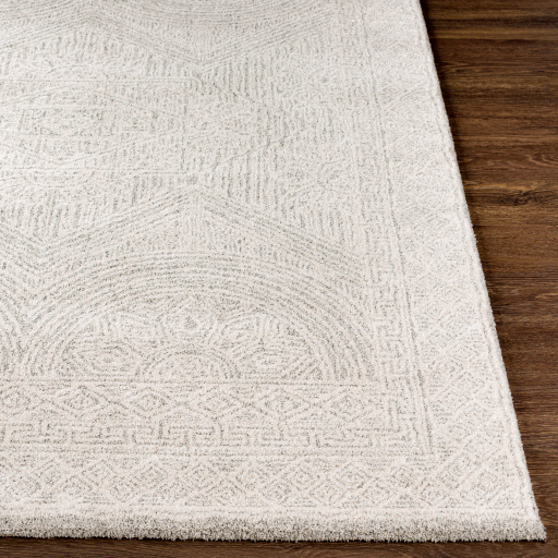 Surya Gavic GVC-2301 Charcoal Area Rug - Image 2
