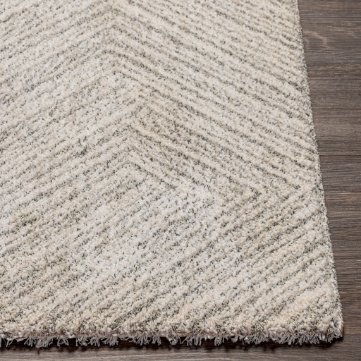Surya Gavic GVC-2302 Charcoal Area Rug - Image 2