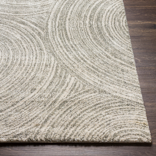 Surya Gavic GVC-2305 Charcoal Area Rug - Image 2