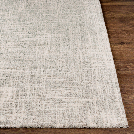Surya Gavic GVC-2308 Charcoal Area Rug - Image 2