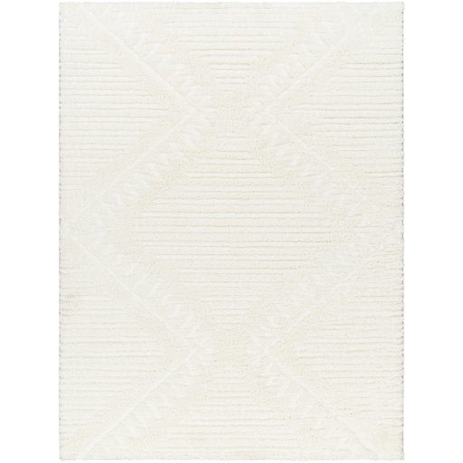 Surya Nomadic NMC-2304 Area Rug