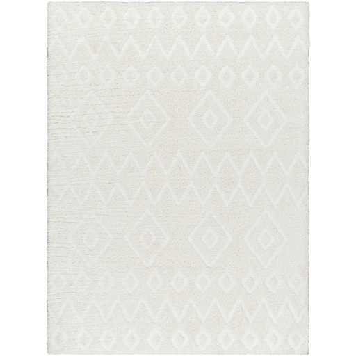 Surya Nomadic NMC-2306 Area Rug