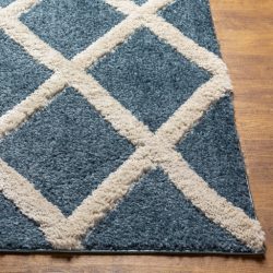 Alternative view of Surya Hudson Shag HDS-2301 Area Rug