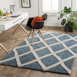 Surya Hudson Shag HDS-2301 Area Rug