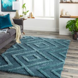 Surya Hudson Shag HDS-2302 Area Rug