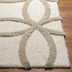 Alternative view of Surya Hudson Shag HDS-2303 Area Rug