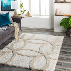 Surya Hudson Shag HDS-2303 Area Rug