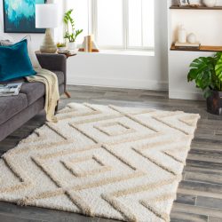 Surya Hudson Shag HDS-2309 Area Rug