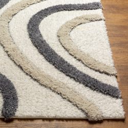 Alternative view of Surya Hudson Shag HDS-2313 Area Rug