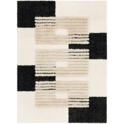Surya Hudson Shag HDS-2314 Area Rug