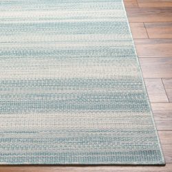 Surya Hampton HPT-2303 Area Rug