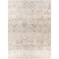 Surya Indigo IGO-2306 Beige Area Rug