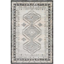 Surya Indigo IGO-2330 Beige Area Rug