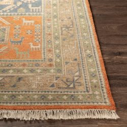 Surya Isparta ISP-1001 Burnt Orange Area Rug