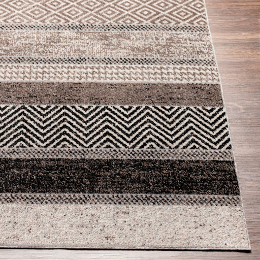 Surya Lavadora LVR-2304 Black Area Rug - Image 2