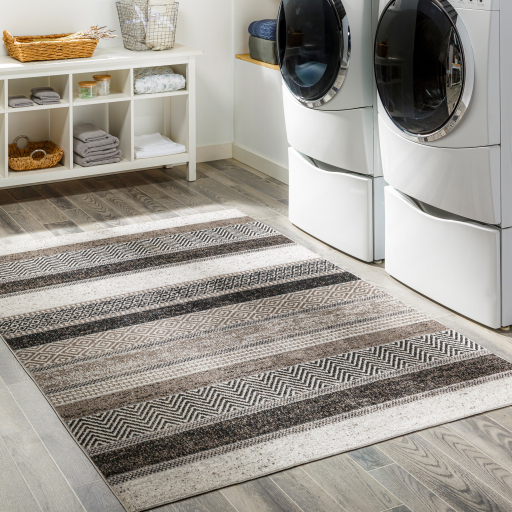 Surya Lavadora LVR-2304 Black Area Rug