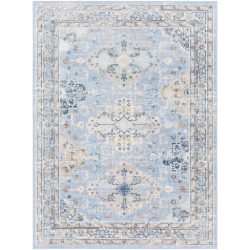 Surya Lavadora LVR-2351 Area Rug