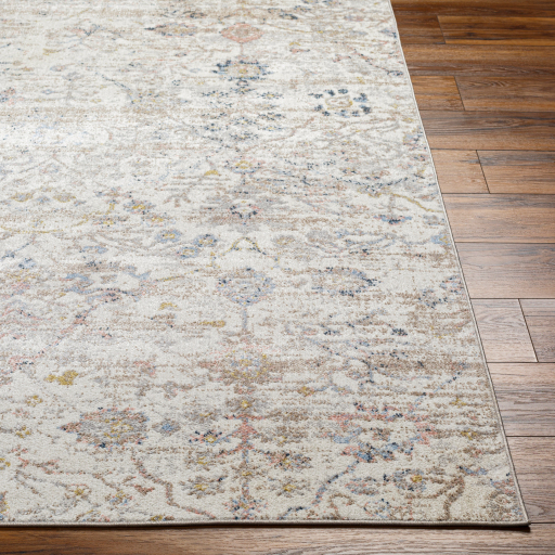 Surya Lavadora LVR-2358 Area Rug - Image 2