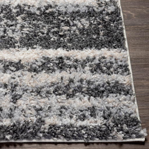 Surya Lyra Shag LYR-2302 Charcoal Area Rug - Image 2