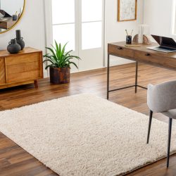 Surya Moda shag MOG-2308 Area Rug