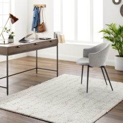 Surya Maryland Shag MSG-2301 Ivory Area Rug