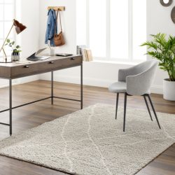 Surya Maryland Shag MSG-2303 Charcoal Area Rug