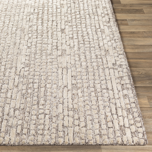 Surya Montclair MTC-2304 Beige Area Rug - Image 2