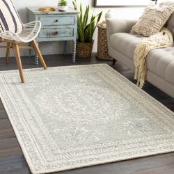 Surya Newcastle NCS-2306 Ivory Area Rug