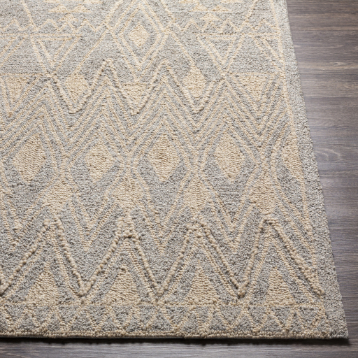 Surya Newcastle NCS-2317 Beige Area Rug - Image 2