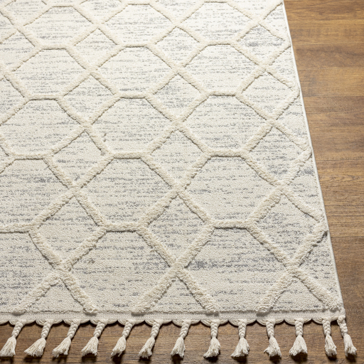 Surya Nora NOA-2311 Cream Area Rug - Image 2