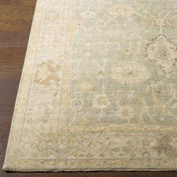 Surya Normandy NOY-8009 Beige Area Rug
