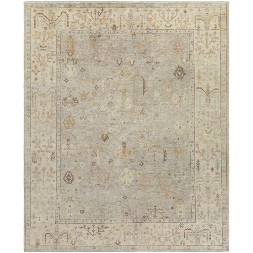 Surya Normandy NOY-8012 Beige Area Rug