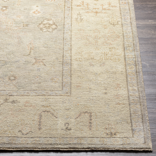 Surya Normandy NOY-8012 Beige Area Rug - Image 3