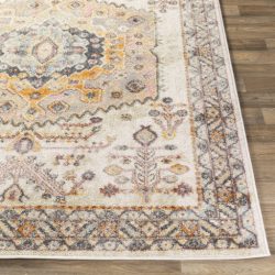 Alternative view of Surya New Mexico NWM-2312 Blue Area Rug