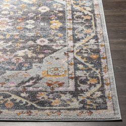 Alternative view of Surya New Mexico NWM-2347 Blue Area Rug