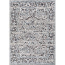 Surya New Mexico NWM-2352 Blue Area Rug