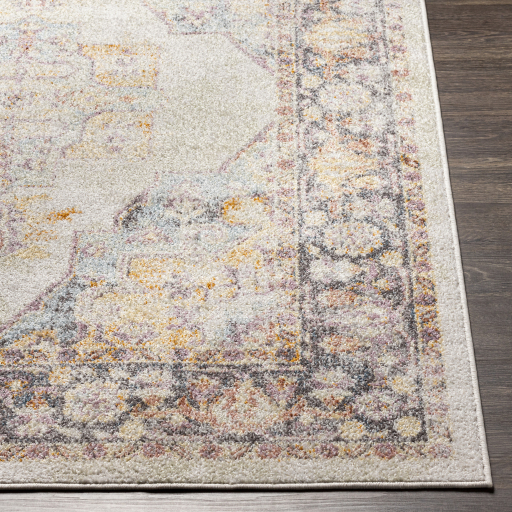 Surya New Mexico NWM-2357 Burnt Orange Area Rug - Image 2