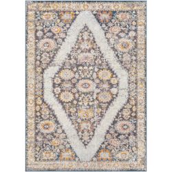 Surya New Mexico NWM-2362 Blue Area Rug