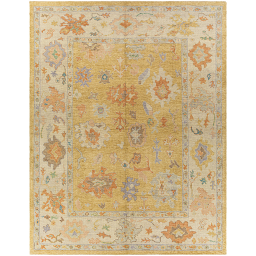 Surya Antique One of a Kind OOAK-1377 Area Rug