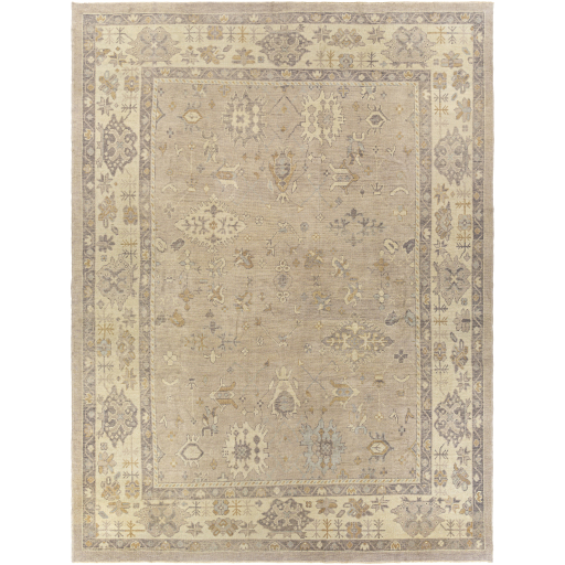 Surya Antique One of a Kind OOAK-1388 Area Rug