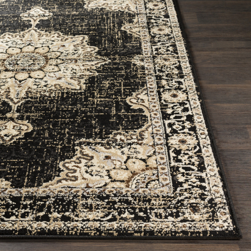 Surya Paramount PAR-1089 Black Area Rug - Image 3