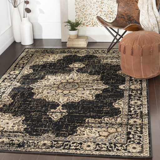 Surya Paramount PAR-1089 Black Area Rug - Image 2