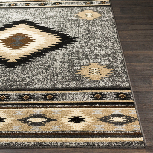 Surya Paramount PAR-1094 Black Area Rug - Image 2