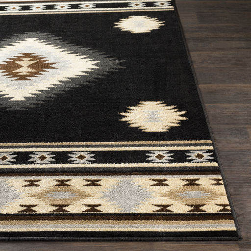 Surya Paramount PAR-1095 Black Area Rug - Image 3
